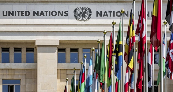 В аппарате генсека ООН высказались о российских паспортах для жителей ЛДНР