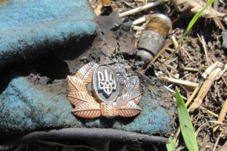 Реплика: последствия упрощения процедуры получения гражданства