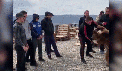 Нурмагомедов "сразился" в горах с медведем — видео