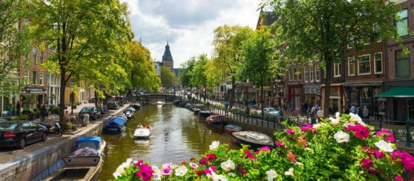 Как добраться из аэропорта Амстердама в город?