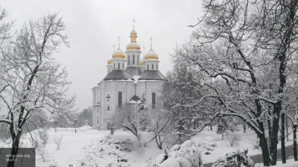 Политолог объяснил, почему Германия подарила Украине грамоту Петра I именно сейчас
