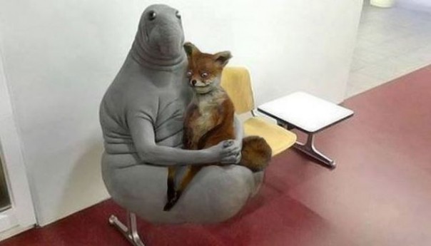 Александр Роджерс: О «запрещённом интернете» — почему я не демократ | Анархический идеал недостижим