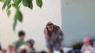 Директор детсада заставила ребенка целовать землю в Краснодаре