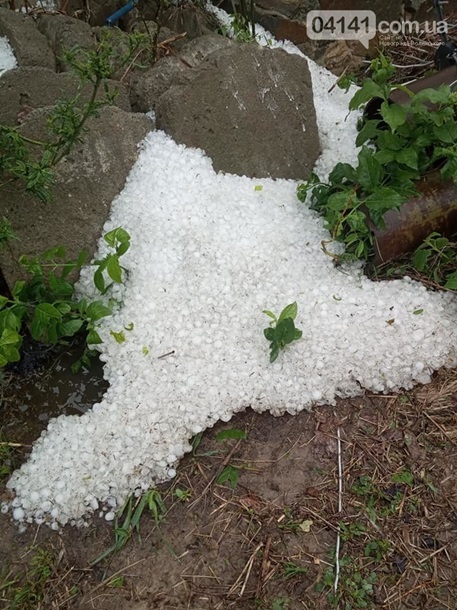 В житомирской области пронесся смерч: обесточены десятки сел