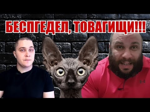 Россиянам понизят пенсии? Это беспГедел, товаГищи!!! Мамой клянусь!!! Кот Костян