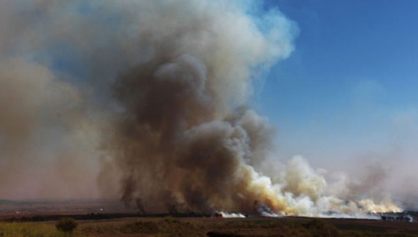 Взрыв на полигоне в Свердловской области: один военный погиб, еще четверо ранены
