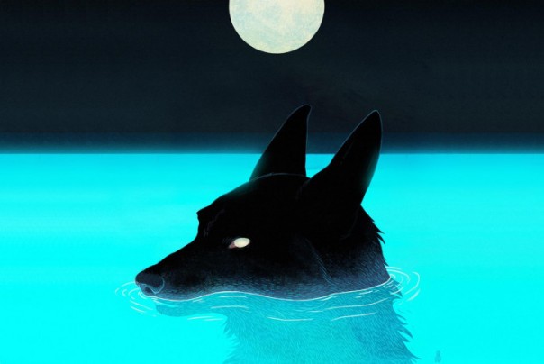 Стада медведей сменили на волчьи стаи. Константин Душенов