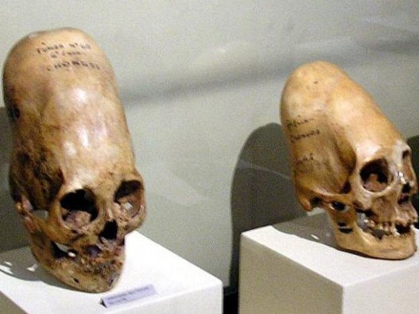 Зачем Ватикан скрывает настоящую историю человечества?