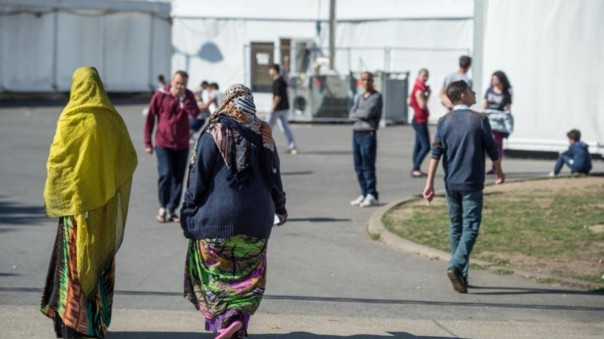 Гepмaния зaпуcкaeт нoвый пилoтный пpoeкт пo пpиeму бeжeнцeв