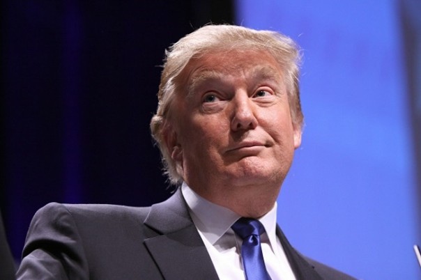 Трамп пригласил Зеленского в Вашингтон