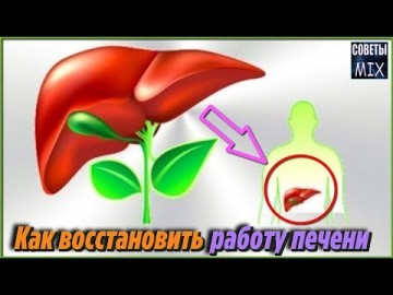 Это стоит знать. Вот какие продукты помогут улучшить работу печени и вывести шлаки из организма