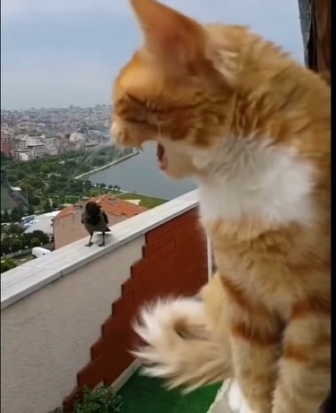 Душевный разговор