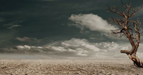 Учёные предрекли гибель цивилизации к 2050 году