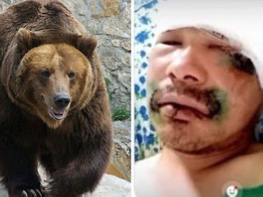 Житель Тувы в одиночку отбился от медведя, откусив ему язык