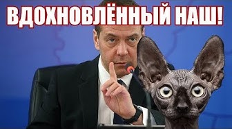 Медведев снова под дозой вдохновения ИЛИ бизнес по-русски. Кот Костян