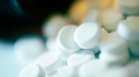 Полтонны амфетаминов: ФСБ накрыла под Калугой подпольную нарколабораторию