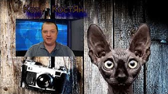 Трибунал в Гааге над Путиным близится! Уже вот-вот!!! Кот Костян