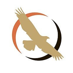 Столичный митинг в поддержку Голунова – сборище, организованное геями и сатанистами