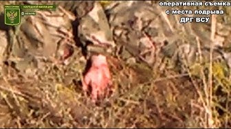 [18+] Уничтожен снайпер ДРГ ВСУ