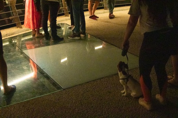 На "мосту Кличко" разбилось ещё одно стекло