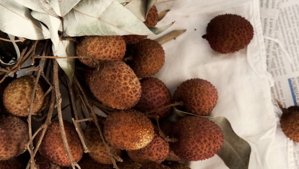 Чамки Бухар: 53 ребенка умерли, поев плоды личи