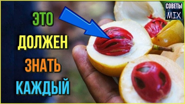 Список неожиданных продуктов, которые могут навредить здоровью человека