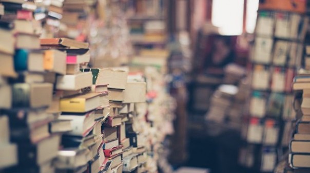 На Украину запретили ввозить книгу о бизнесе и историю викингов