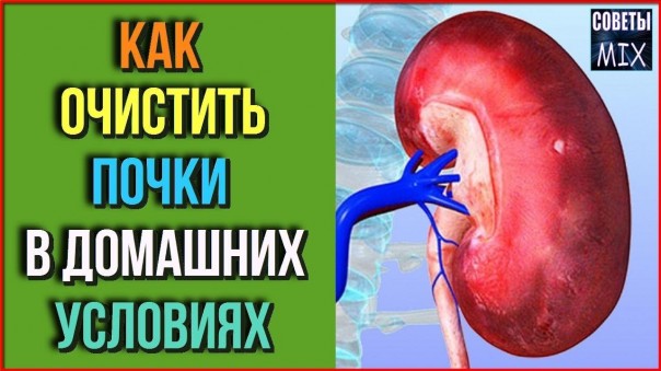 Самые лучшие напитки для очищения почек от песка и камней в домашних условиях