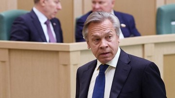 Пушков высмеял недовольство Тбилиси остановкой турпотока из России