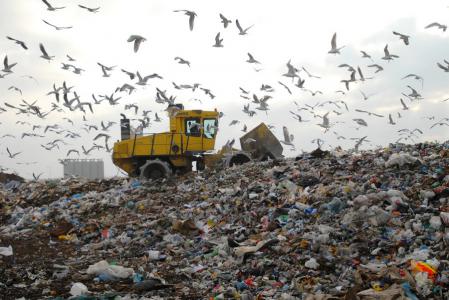 США больше некуда вывозить мусор, которого американцы производят больше всех на планете