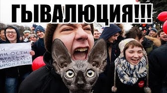 Эх, яблочко, куда ты котишься? Кот Костян