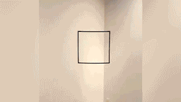 Оптическая иллюзия ошарашила весь Twitter, но разгадка оказалась легче лёгкого