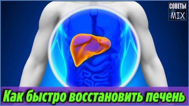 Как быстро восстановить печень. Топ лучших продуктов и напитков очищающих печень в домашних условиях