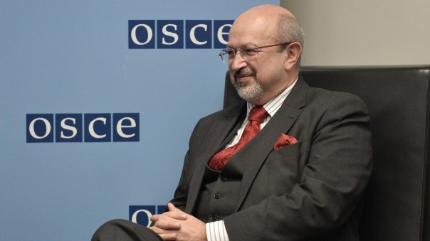 «Мы устраняем искажения в украинском законе о языке»