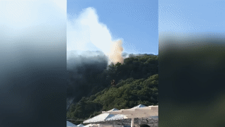 В Краснодарском крае прямо у пляжей загорелся лес — видео