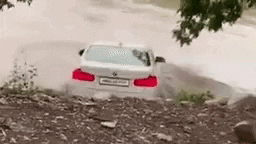 Сын выбросил в реку подаренный отцом БМВ, потому что хотел "ягуар"