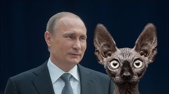 Только бы не опустились руки. Кот Костян