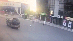 "Совсем оборзели". Медвежья семья разгуливала по городу на Камчатке — видео