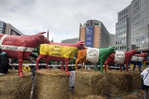 Прибамбасы еврологики