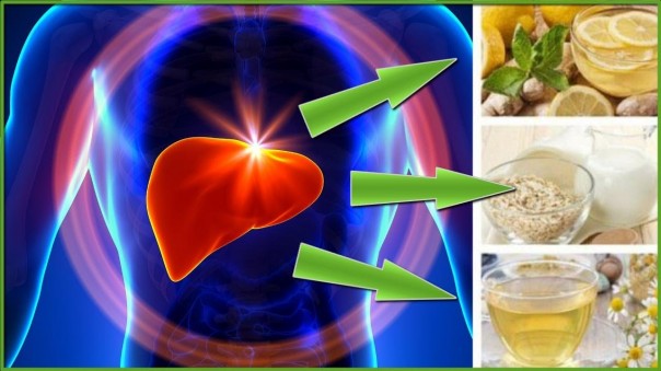 Очищение печени и восстановление ее функций в домашних условиях. Напитки для чистки печени