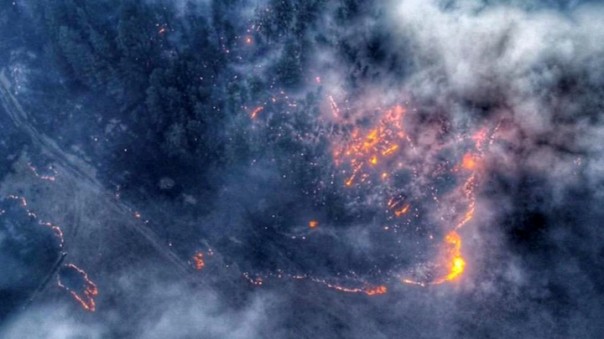 На линии огня. Специальный репортаж Александра Лукьянова