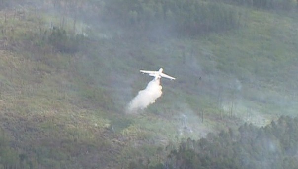 Более 10 тысяч гектаров лесных пожаров потушено в России за прошедшие сутки