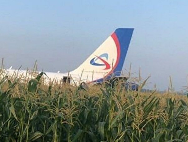 «Фантастическое мастерство и выдержка»: экипаж показал, как должны садиться русские летчики | Момент столкновения самолета с птицами попал на видео