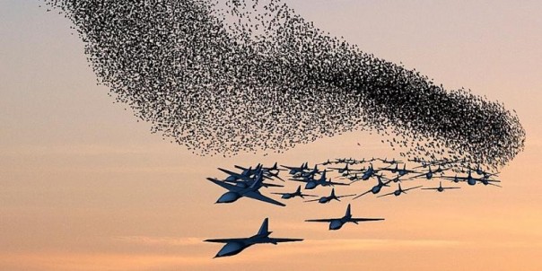 «Дроны-камикадзе»