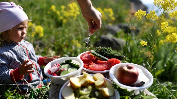 Посудное дело: ложки и вилки можно будет оставлять в лесу