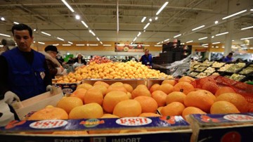 Ответные меры РФ привели к падению в Чехии закупочных цен на фрукты на 20%