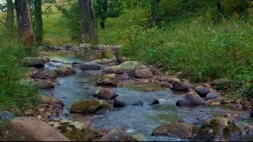 Потрясающая природа