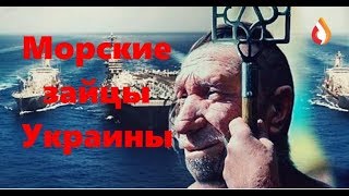 Морские зайцы Украины | Работа Адвоката на Украине | Украина готовит "большую" пропаганду и др.
