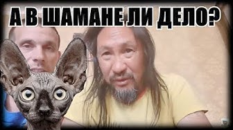 Таргариен БурЯторождённый, или что там в Улан-Удэ? Кот Костян