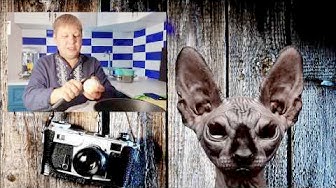 Мы в Казахстане, или ни слова о...  Кот Костян